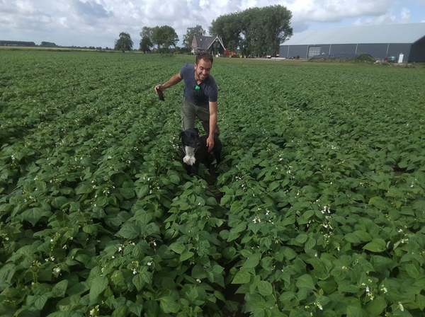 Johan in aardappelveld